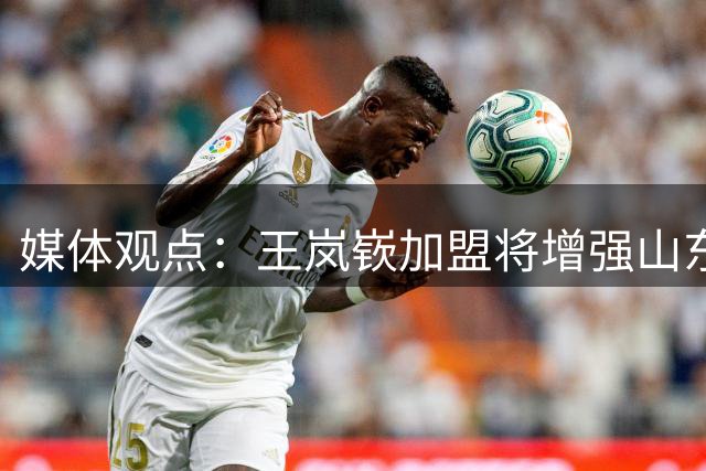 媒体观点：王岚嵚加盟将增强山东队后场组织能力